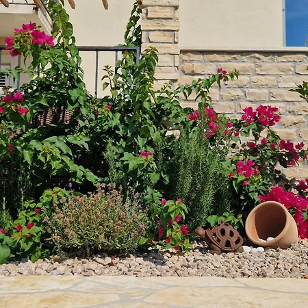 Kuca Koza-apartment Marijana Apartman *