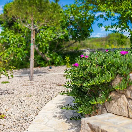 Apartman Kuca Koza-apartment Marijana