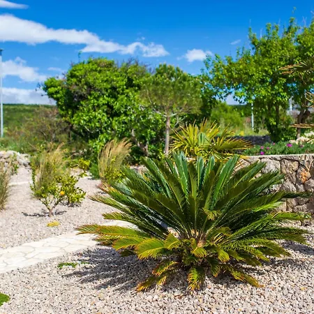 Apartman Kuca Koza-apartment Marijana Punat