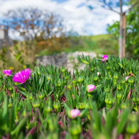 Kuca Koza-apartment Marijana *