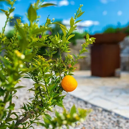 Apartman Kuca Koza-apartment Marijana Punat